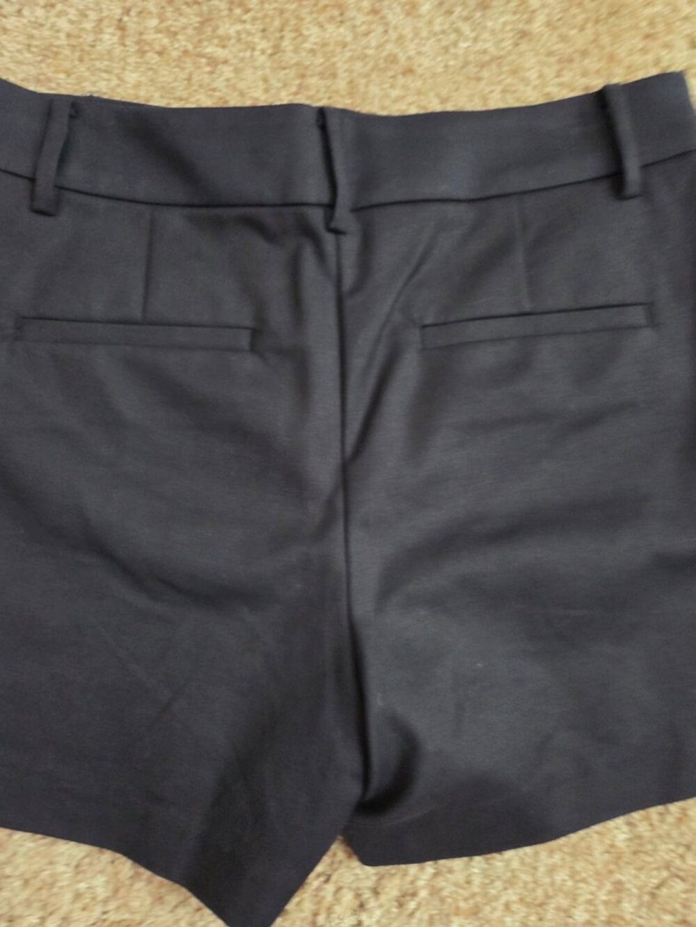Loft Riviera Shorts Size 4 - Picture 4 of 6
